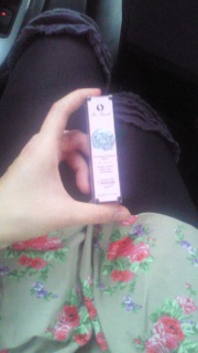 ���C�ɓ���̈�{