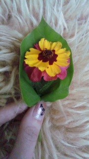 �ȒP�ɓ��[��