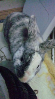 ��������