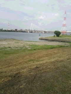 �T�C�N�����O