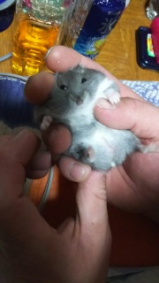 �n���n��