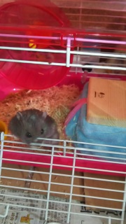 �~�j������