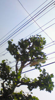 嬉しい楽しい大好き!