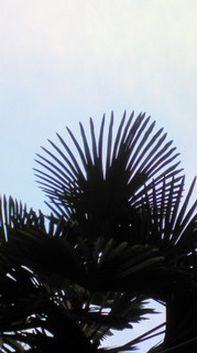 ����͂ƂĂ�