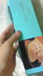 �����J���p�l��