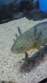 こいつら可愛すぎる!