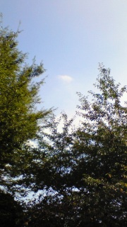 ずっこけチャリンカー