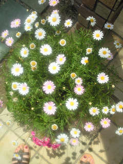 �~�J�₾�ȁ[