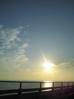 ���z�ɖi����