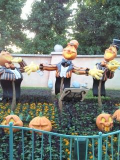 �������J�{�`��